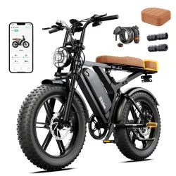 Electric Bike 2000W Peak,48V 15AH Removable Battery 65-120 Mile Range Ebike