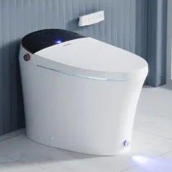 Smart Toilet with Bidet Built in, Auto Open, Foam Shield